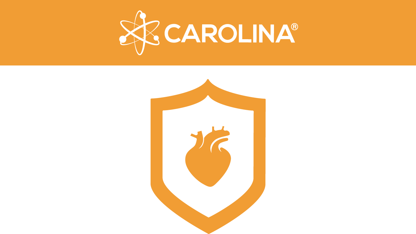 CAROLINA assessed the cardiovascular safety profile of Trajenta